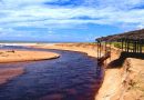 Os encantos de Jericoacoara 🏖️