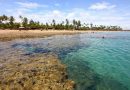 Conheça a Região de Praia Grande e Maraú (BA) 🕶️